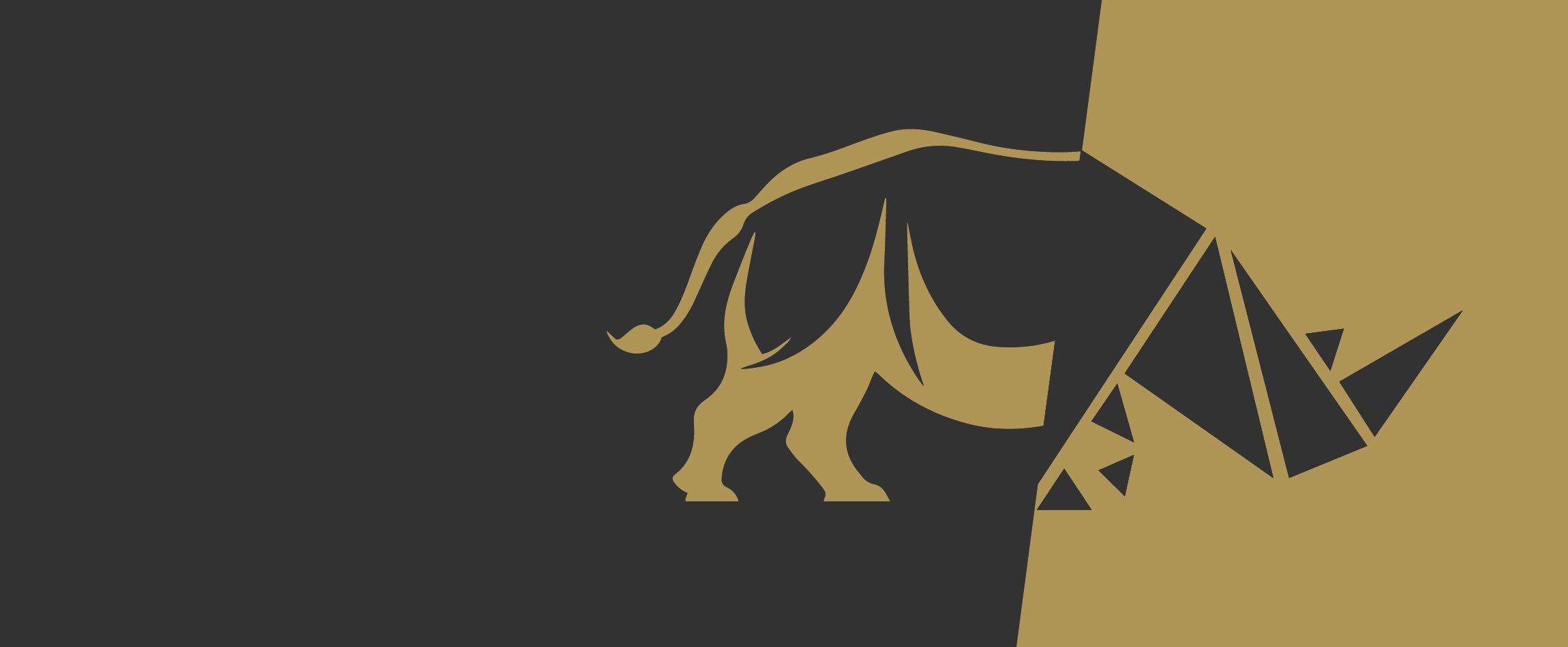 WE BUILDYOU ROCKFOR 20 YEARS