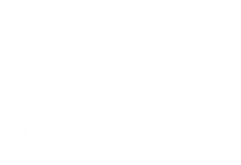 Promo logistika - services