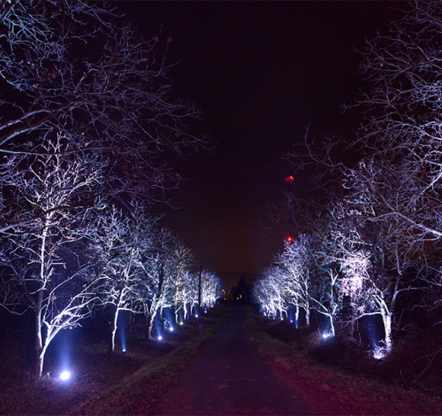 Rasvjeta okoliša (2)