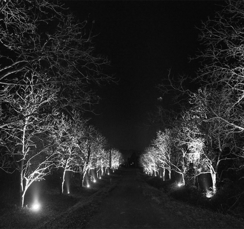 Rasvjeta okoliša (2)